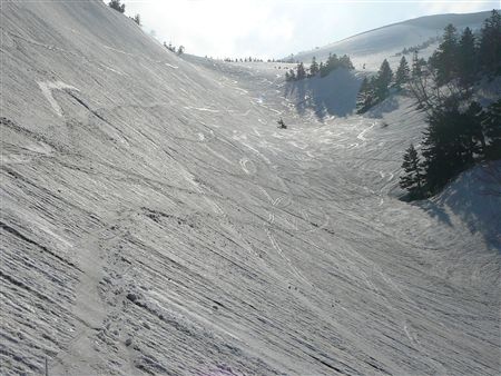 c0081645_045811.jpg