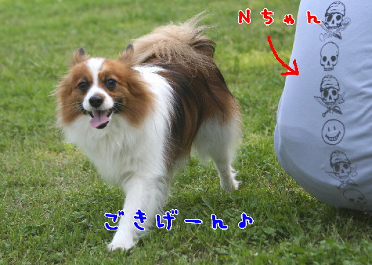 d0013149_00491.jpg