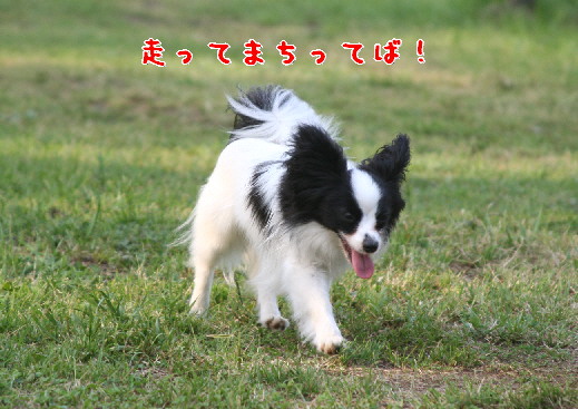 d0013149_23564052.jpg