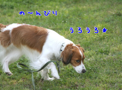d0013149_23571630.jpg
