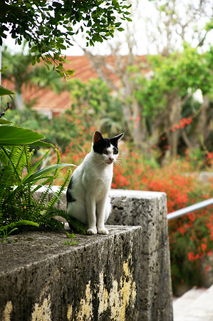 a0012950_17265019.jpg