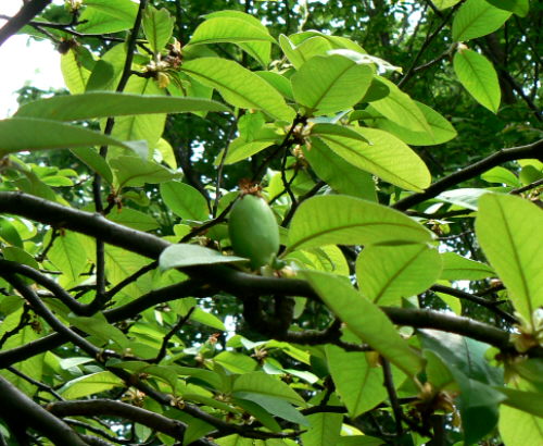 d0091754_192972.jpg