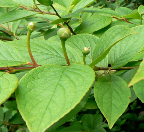 d0091754_19372642.jpg