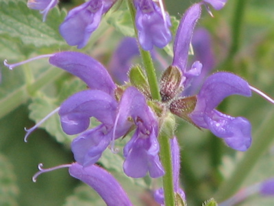d0050472_15234845.jpg