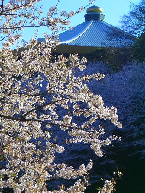 c0014779_18473847.jpg