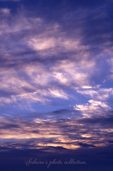 c0052787_2131570.jpg