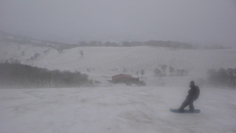 b0046290_011256.jpg