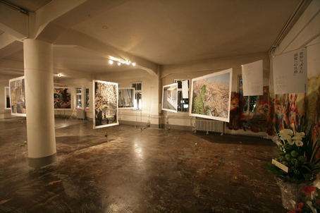 d0046094_22413027.jpg