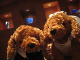 b0070797_202907.jpg