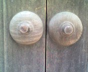 c0071003_14492272.jpg