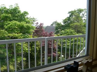 a0089120_2055252.jpg