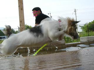 a0089120_21363415.jpg