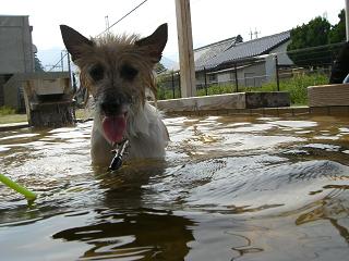 a0089120_2142331.jpg