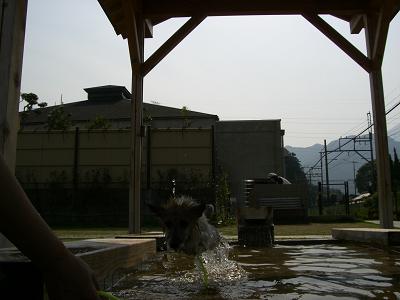 a0089120_2232821.jpg