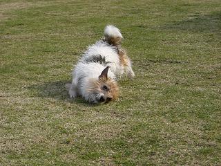 a0089120_2273690.jpg