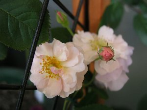 b0031925_13473670.jpg