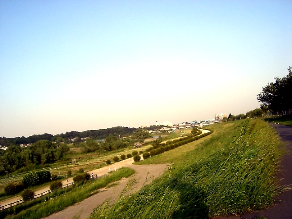 d0103632_2225962.jpg