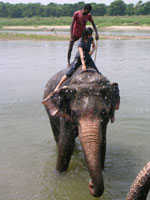 c0024135_04547.jpg
