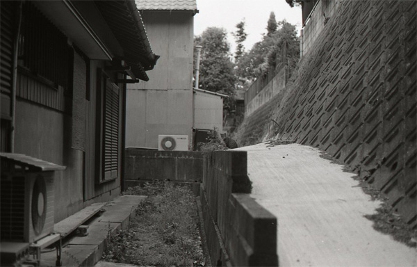 d0103236_9535683.jpg