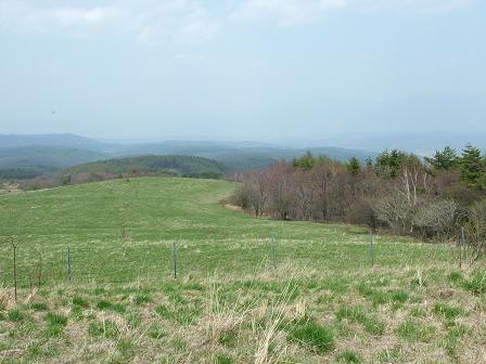 e0007544_7412451.jpg