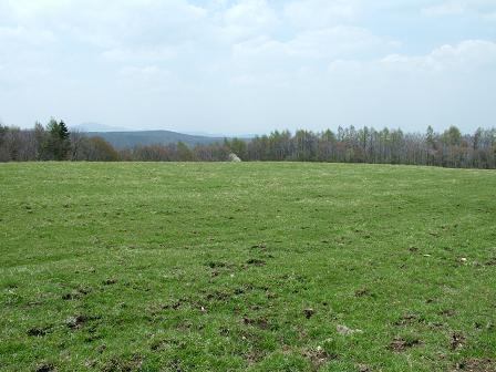 e0007544_7423916.jpg
