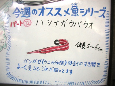 e0027447_12352320.jpg