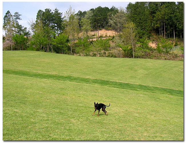 c0067449_11354621.jpg