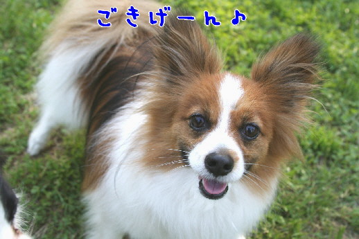 d0013149_002115.jpg