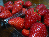 d0094868_199828.gif