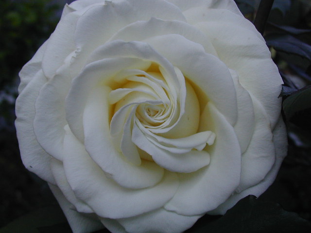 d0016179_22441880.jpg