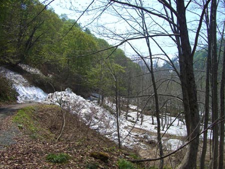 b0099994_650253.jpg