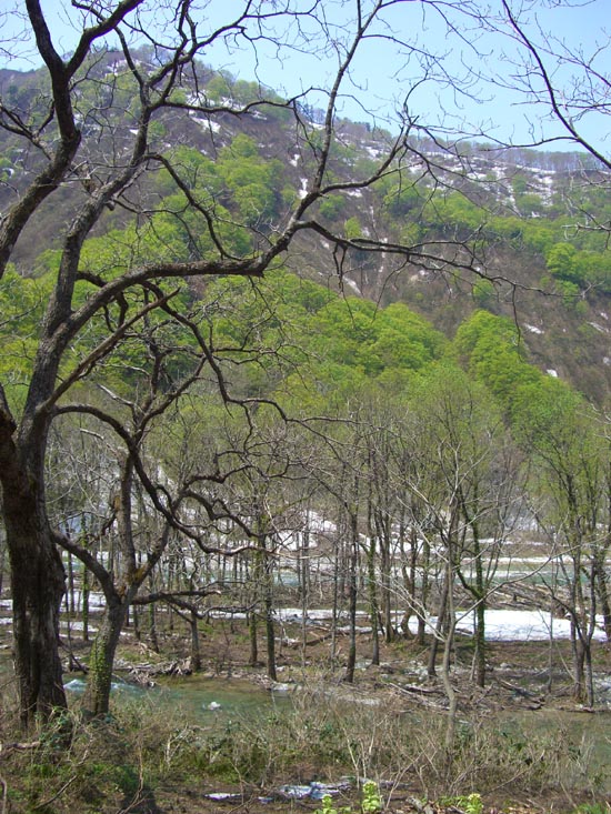 b0099994_651125.jpg