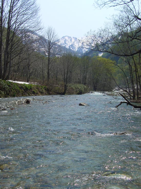 b0099994_6532184.jpg