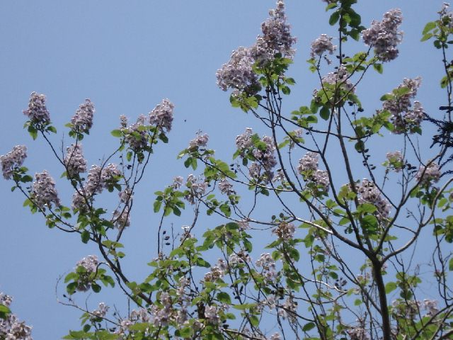 f0084806_9112966.jpg