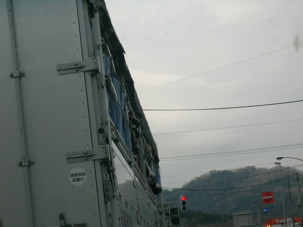 f0051125_23283471.jpg