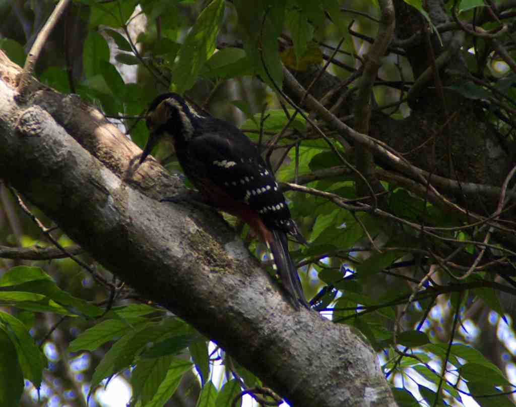 d0053930_625371.jpg