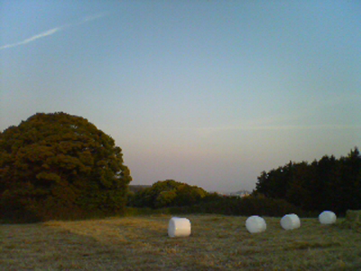e0104133_0414644.jpg