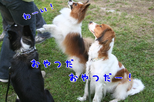 d0013149_10160.jpg
