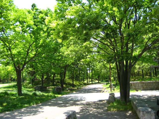 f0136850_22384816.jpg