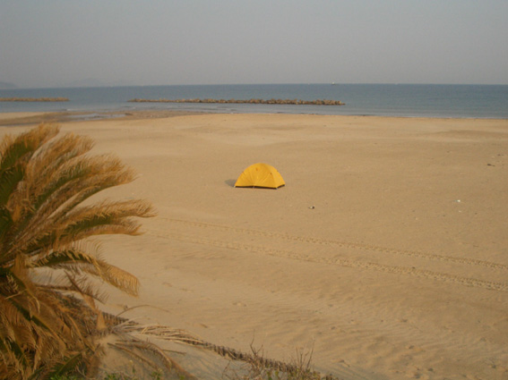 b0002156_21523227.jpg
