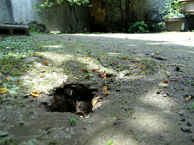 e0083359_1934499.jpg