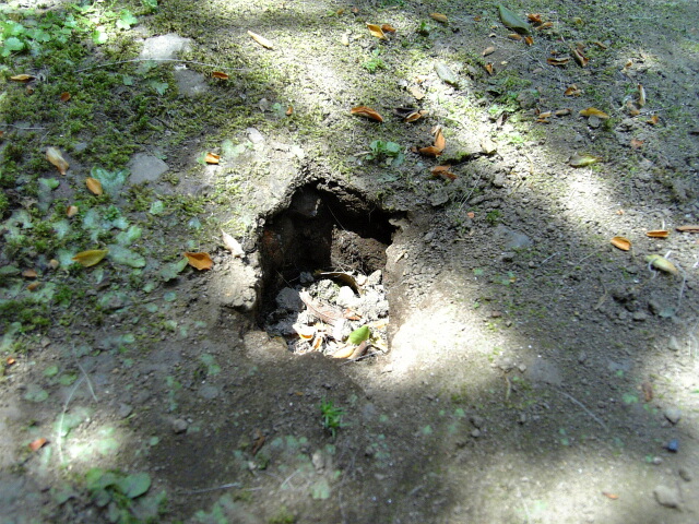 e0083359_2322401.jpg