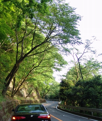 e0106760_183475.jpg