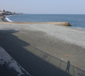 e0106760_215862.jpg