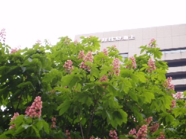 b0061261_22593041.jpg