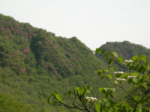 c0042869_18194139.jpg