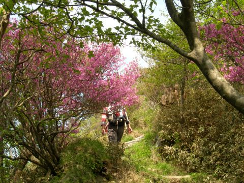 c0042869_18201456.jpg