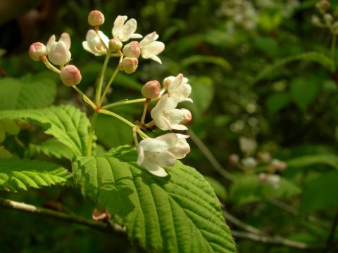 c0042869_1821504.jpg