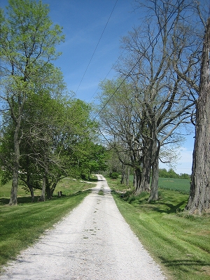 e0015270_1203869.jpg