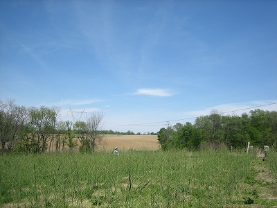 e0015270_1232432.jpg